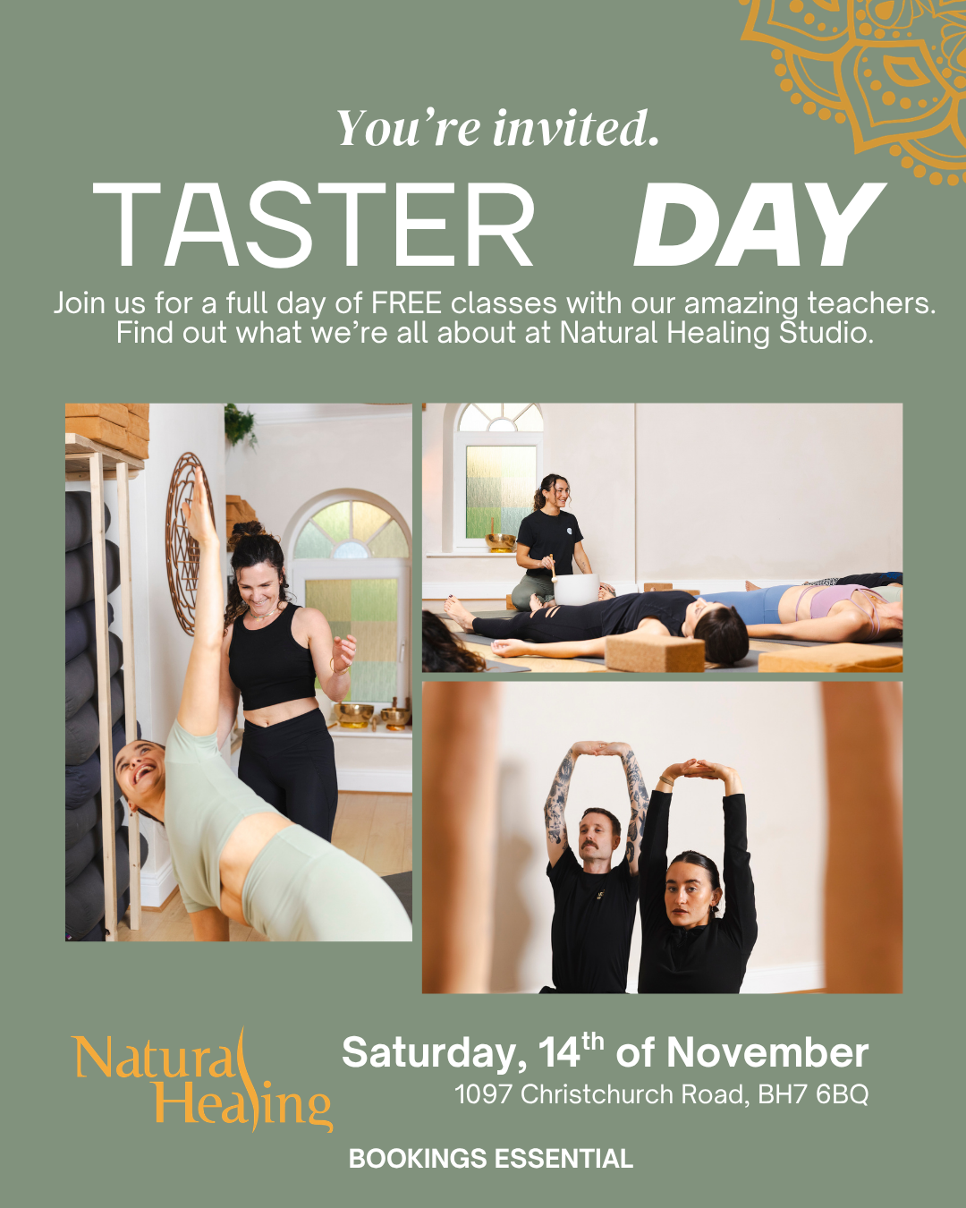 Studio Open Day
