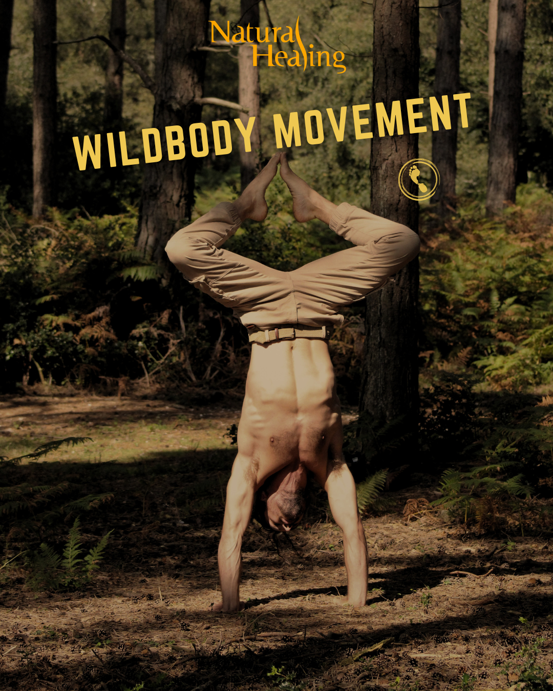 Beginners Handstands